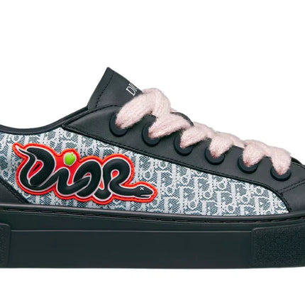 Dior And Kaws B33 Spin "Limited And Numbered Edition"